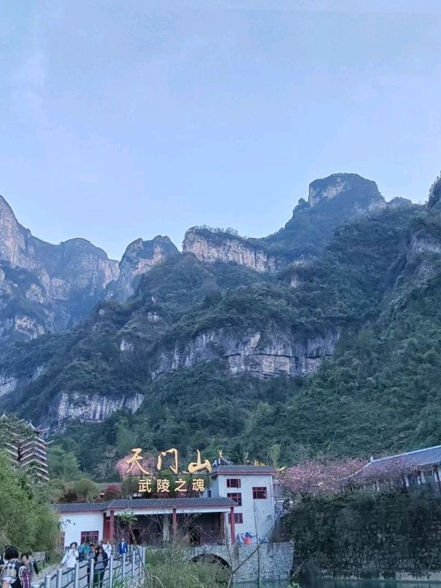 🌄天門山奇遇｜雲霧仙境x99道彎公路挑戰🚗
