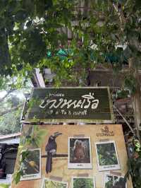 คาเฟ่ธรรมชาติที่ชลบุรี