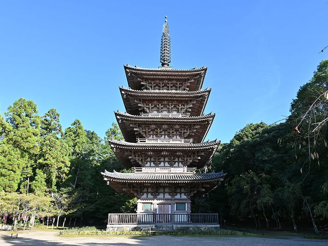 🍁 Daigoji Temple – Kyoto, Japan ⛩️🌿