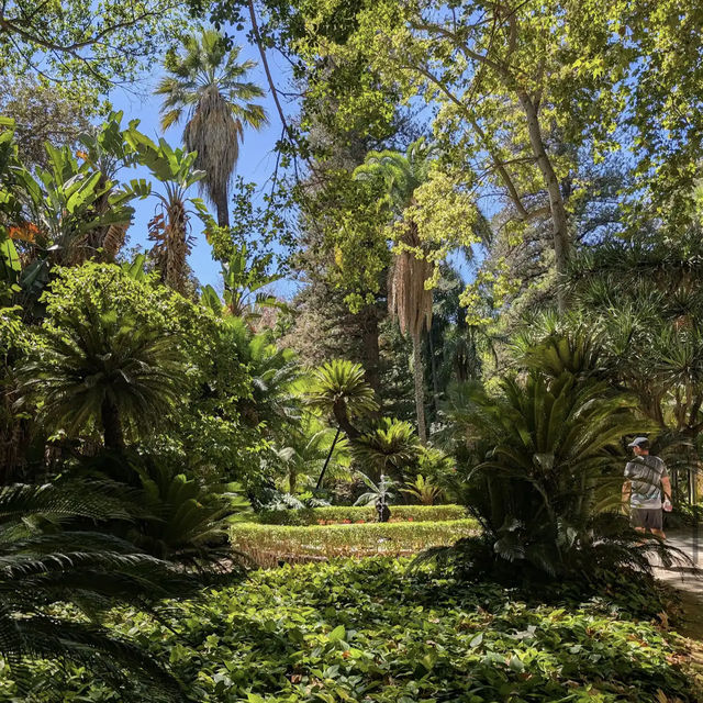 Jardín Botánico Histórico La Concepción
