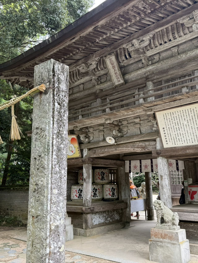 海風、白鳥居、龍貓的足跡：我在糸島尋找治癒系的藍