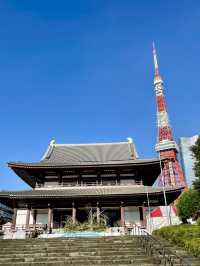 【ひとり旅におすすめ】東京満喫トリップ②日目