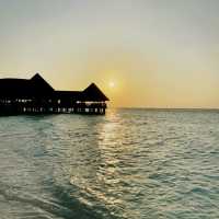 Barefoot Dreams, Ocean Deep