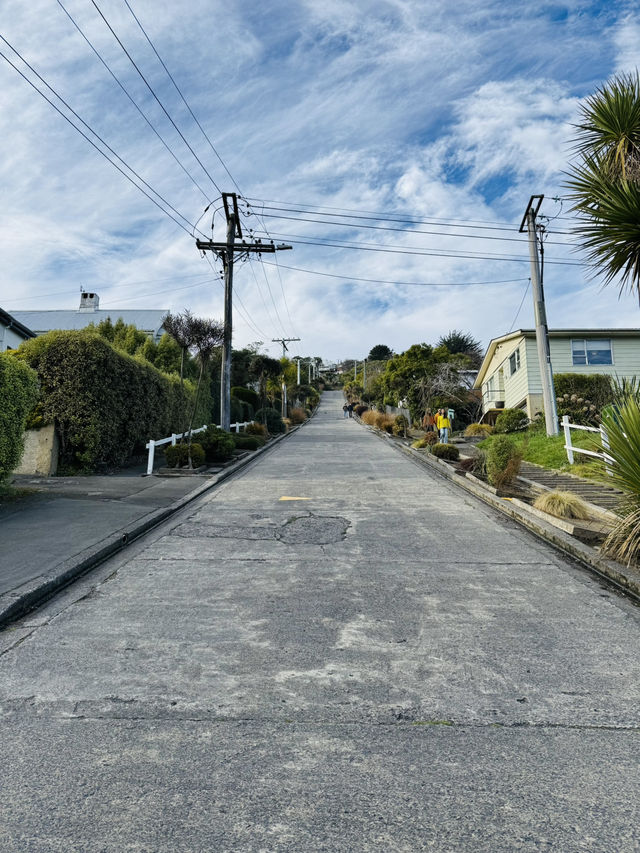 紐西蘭 南島 但尼丁Baldwin Street