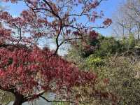 Claude Monet's House and Gardens - Giverny