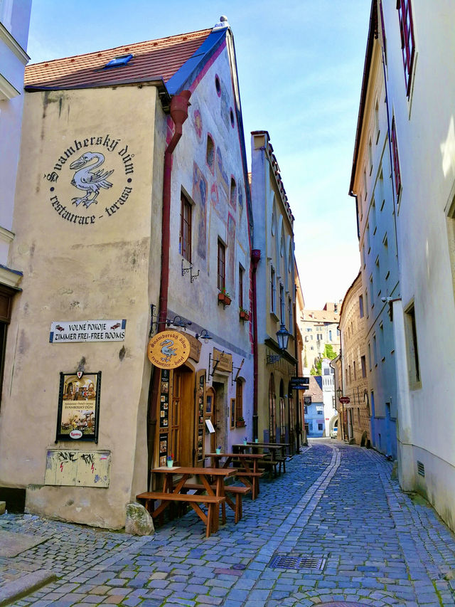 Bread and Meat Feast🍞 Krčma Šatlava, Český Krumlov 