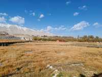 The Golden Grassland of the Pamir: A Golden Scroll on the Plateau