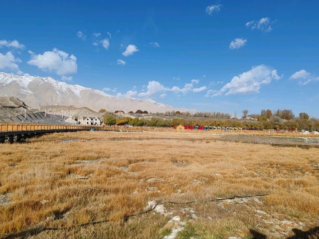 The Golden Grassland of the Pamir: A Golden Scroll on the Plateau