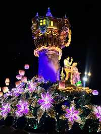 🎆夜の魔法が輝く|Tokyo Disneyland Electrical Parade Dreamlights