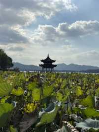 A Serene Stroll Around West Lake, Hangzhou