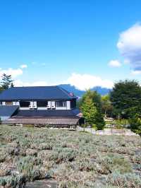 蒜山香草樂園