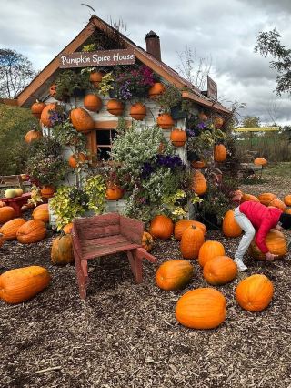 Farm cute sheep interactive experience 🧑‍🌾