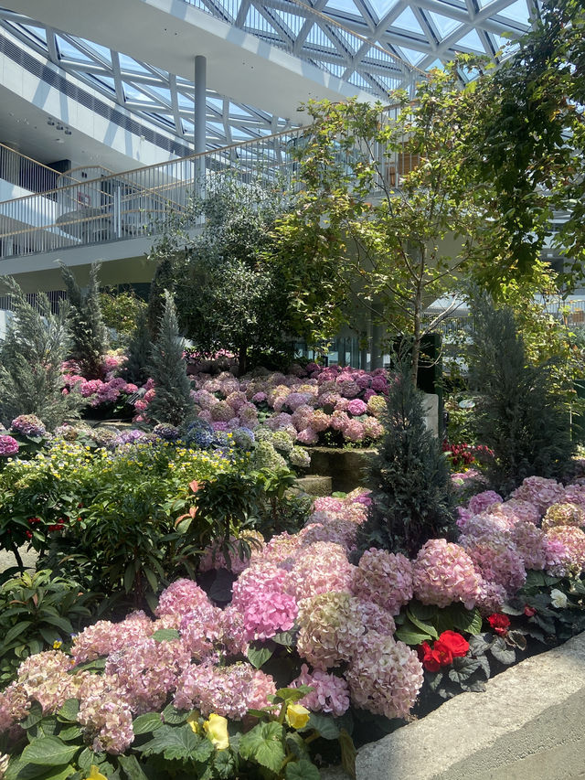 Flora Exhibition Hall💐💐  Flora Exhibition Hall💐💐