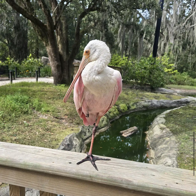 Brookgreen Gardens Brookgreen Gardens