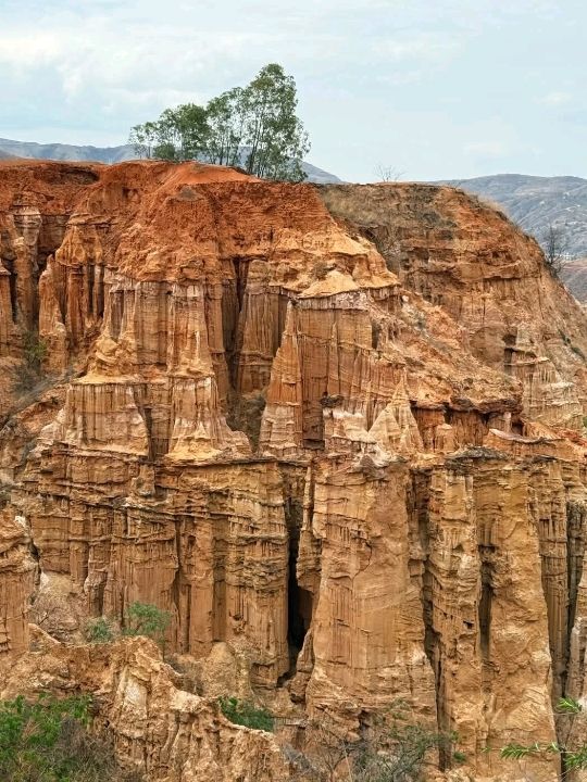 Stone forest Stone forest