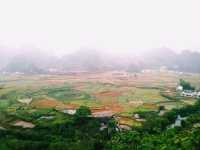 The Majestic Wanfenglin and the Mysterious Bagua Field