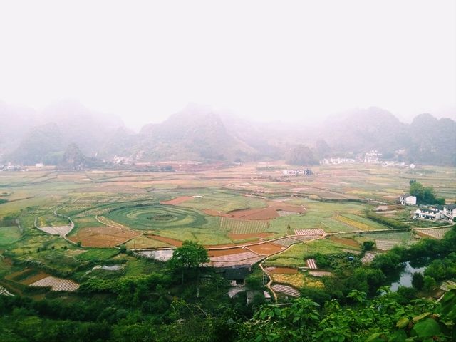 The Majestic Wanfenglin and the Mysterious Bagua Field