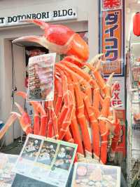 SEVENTEEN 2025日本巨蛋巡演終極攻略｜搶票、交通、住宿一篇就懂！