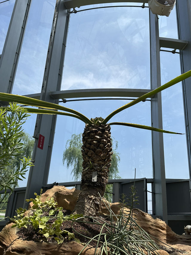 在上海城市裡的祕密仙境 🌈🌺 