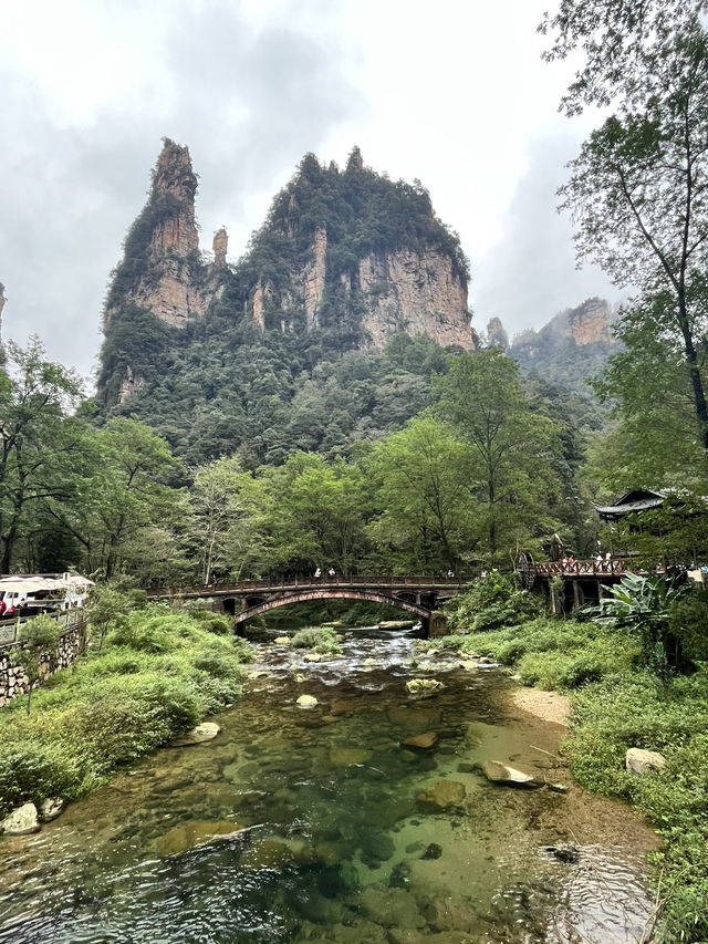 🌲 Zhangjiajie National Forest Park — The Ultimate 2-Day Guide for First-Timers 🌄