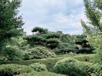 A Solo Serenade to Early Autumn: Elizabeth Hubert Malott Japanese Garden