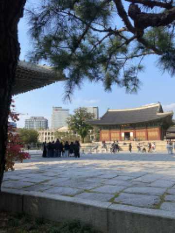 พระราชวังด็อกซูกุง (Deoksugung Palace / 덕수궁)