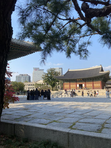 พระราชวังด็อกซูกุง (Deoksugung Palace / 덕수궁) พระราชวังด็อกซูกุง (Deoksugung Palace / 덕수궁)