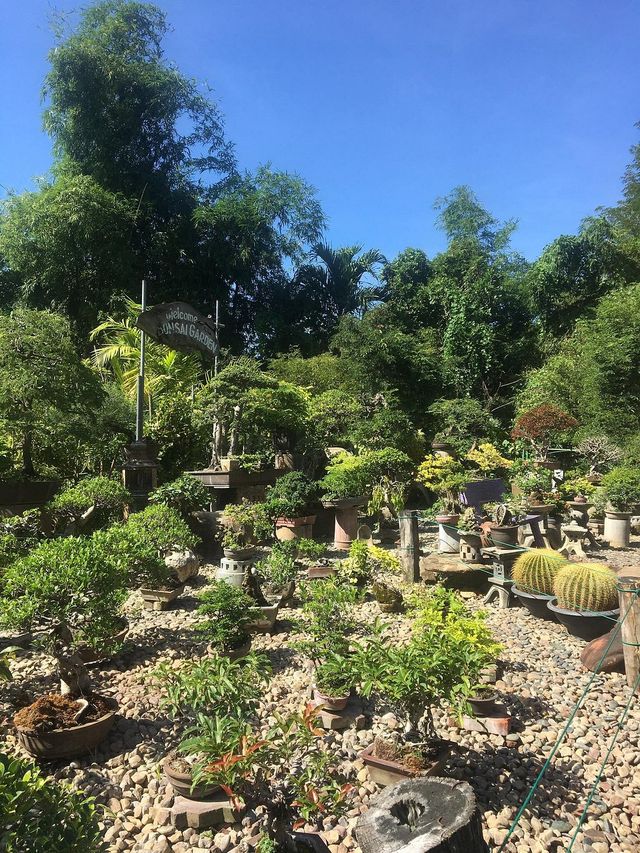 Hidden Garden - Authentic Ilocano Dishes with great garden ambiance Hidden Garden - Authentic Ilocano Dishes with great garden ambiance