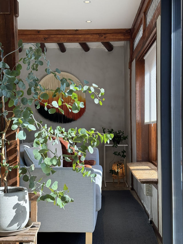 겨울 청주 여행 코스 ❄️