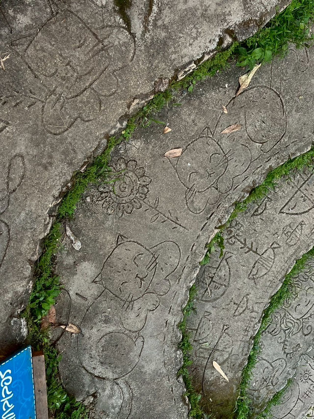 🐾 รีวิวร้าน “แมวดอยแกลเลอรี่” 🐾 รีวิวร้าน “แมวดอยแกลเลอรี่”