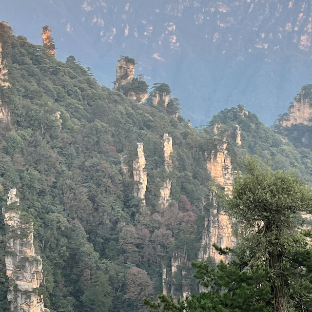 Zhangjiajie National Forest Park — East Gate One-Day Route That Actually Works Zhangjiajie National Forest Park — East Gate One-Day Route That Actually Works