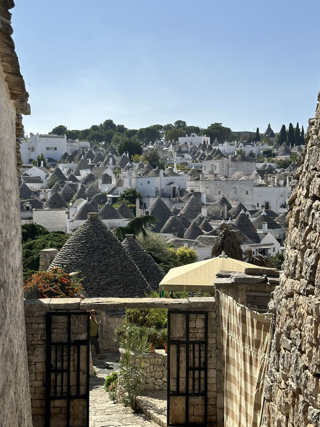 🏡 蘑菇村 Alberobello｜聯合國文化遺產 童話小鎮必打卡