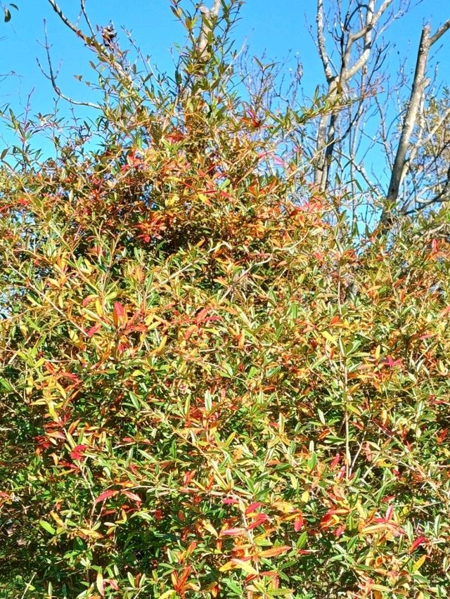 가을이 포근하게 감싸주는 경남수목원 가을이 포근하게 감싸주는 경남수목원