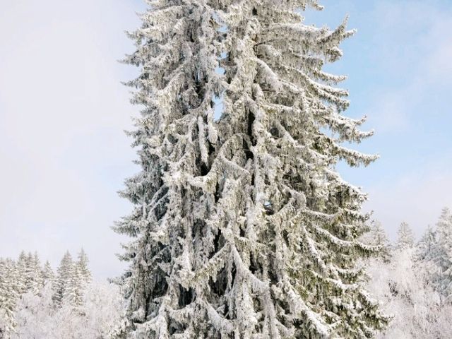 Lucerne in winter Lucerne in winter