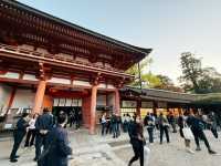 奈良春日大社～穿越千年的神秘能量場！萬盞石燈籠與神鹿共舞的仙境🦌🏮