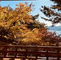 Impeccable Gardens and Architectural Harmony