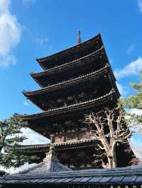 ⛩️京都清水寺｜一次走進千年古都的浪漫與驚嘆✨