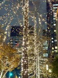 A night stroll through glowing art & lights