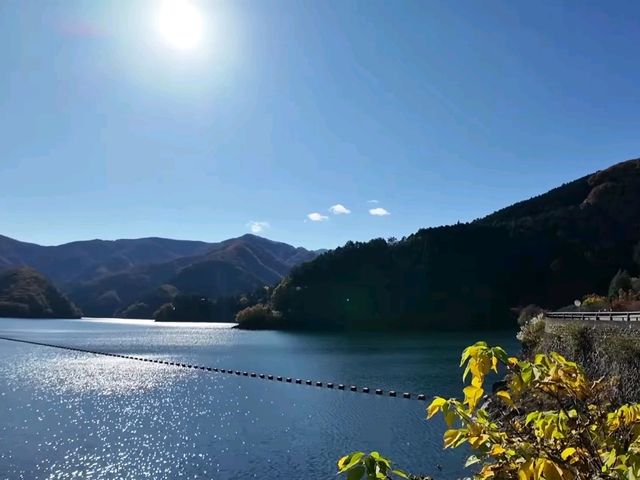東京周邊小眾秘境｜奧多摩湖四季絕景攻略🍁