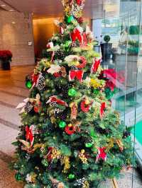 Pocket-Sized Joys in Lippo Centre