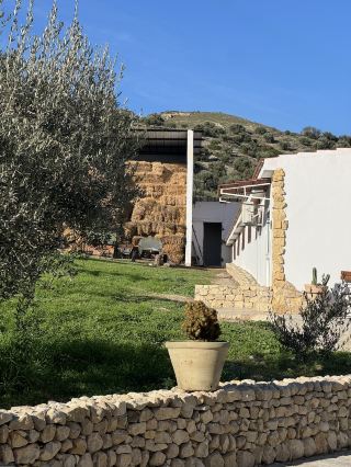 🫒 ทริปเที่ยวชมฟาร์มมะกอกเบนอิสมาอิล ใกล้เมืองตูนิสหนึ่งวัน