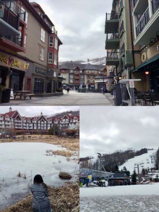 氷雪の世界でのロマンチックなリゾート