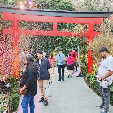 serene Japanese garden landscape | Trip.com Singapore