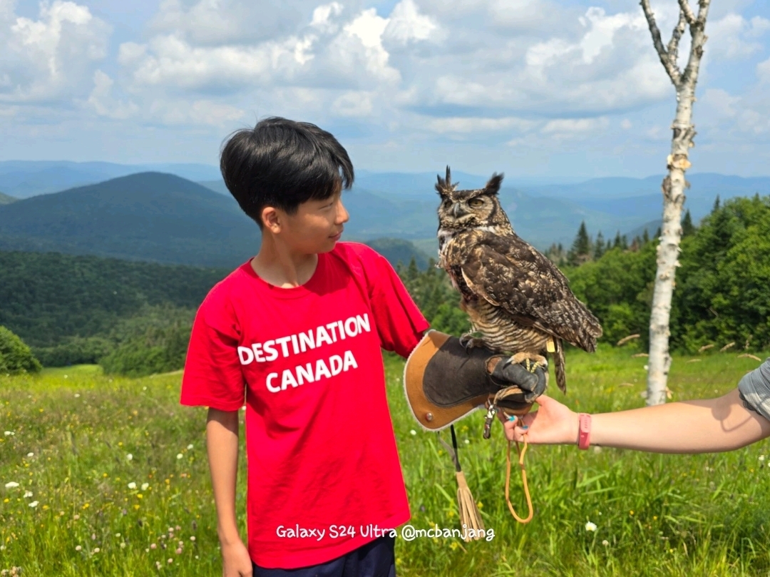 Canada Mont Tremblant Accommodation & Activities (Birds of Prey Experience, Luge, Gondola Ride)