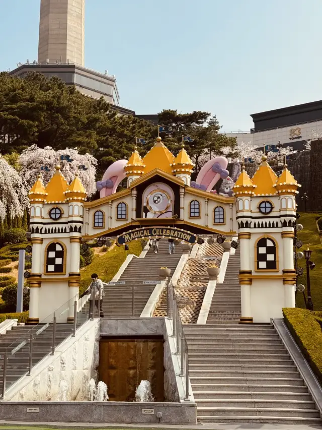 Daegu Trip Tips🧳