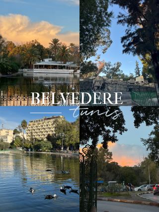 🌿 A quiet escape in the city, Belvédère Park & Zoo ✨