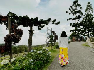 Jerai Hill Escape🌿