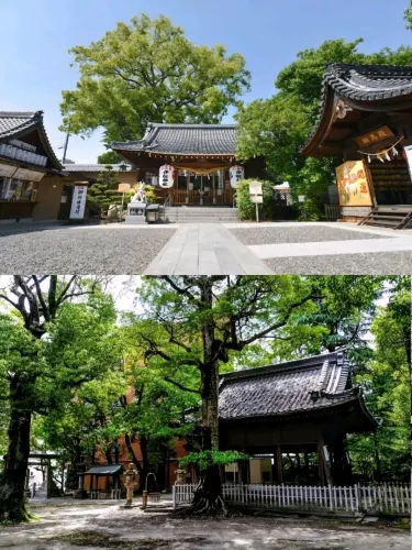 🌲 숲 속 신사, 아쓰타 신궁