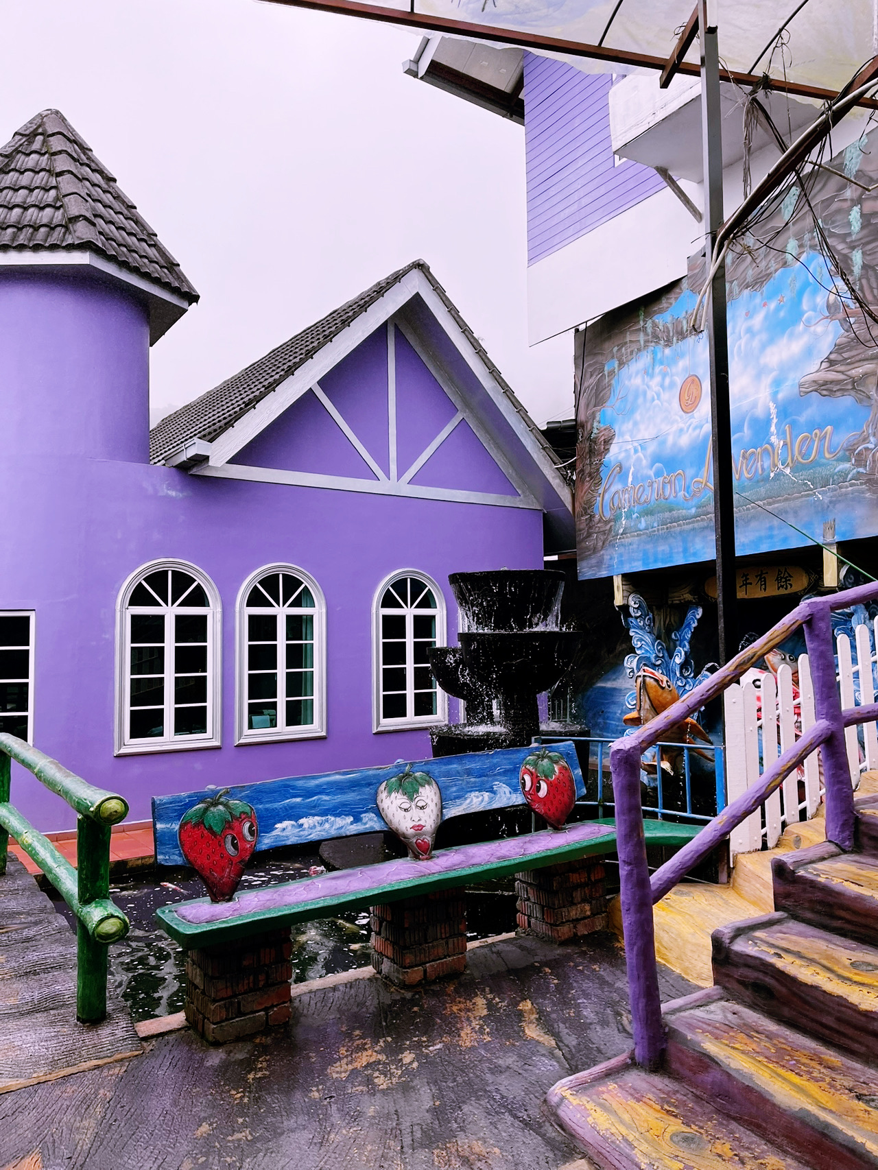 Colourful Bloom Experience at Lavender Garden Cameron Highlands