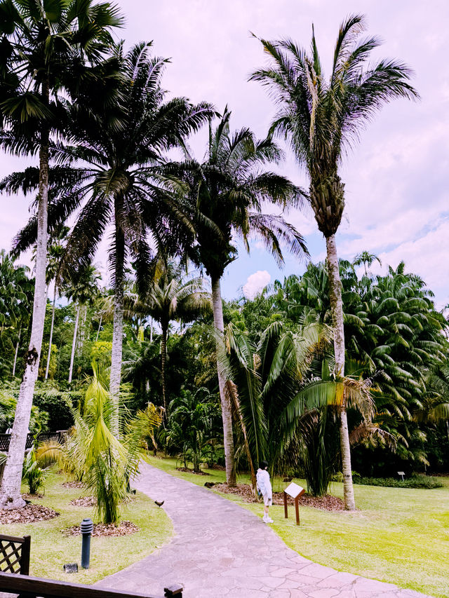 Pro-Tips for Your Botanical Expedition